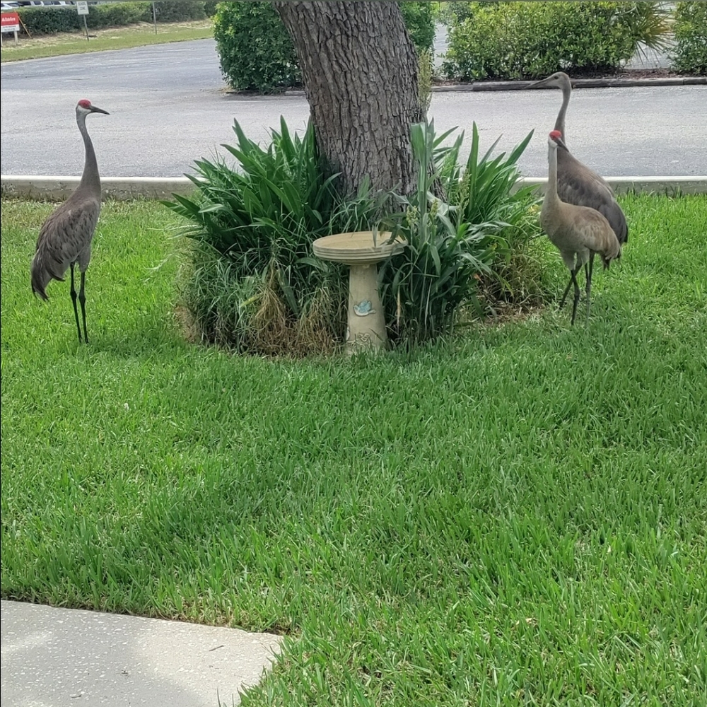 Meet your Posher, Donna